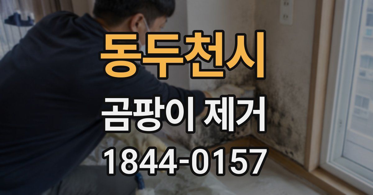 동두천시 곰팡이 제거