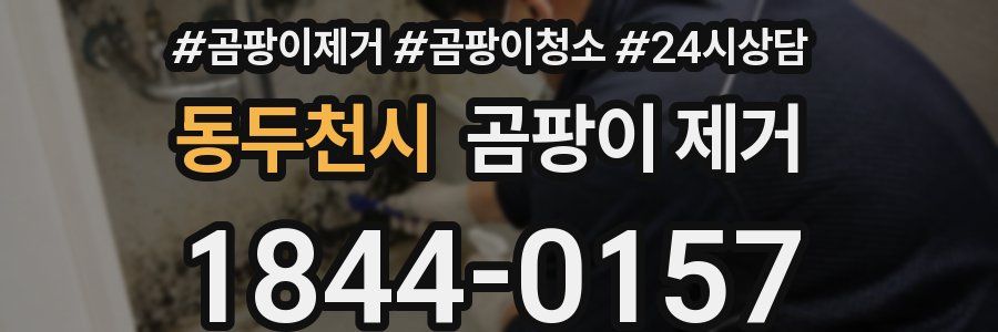 동두천시 곰팡이 제거