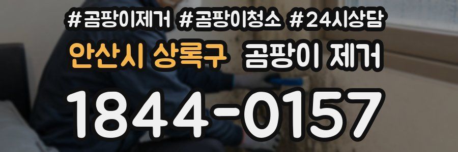 안산시 상록구 곰팡이 제거