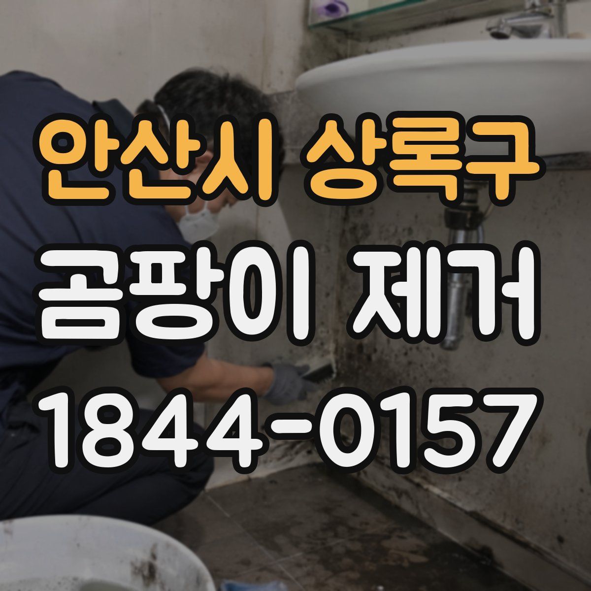 안산시 상록구 곰팡이 제거