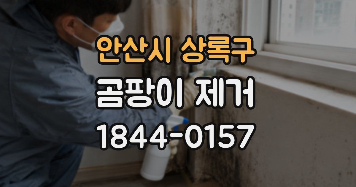 안산시 상록구 곰팡이 제거