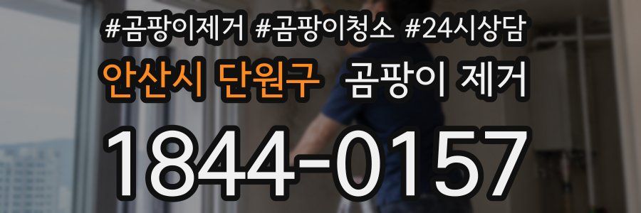 안산시 단원구 곰팡이 제거