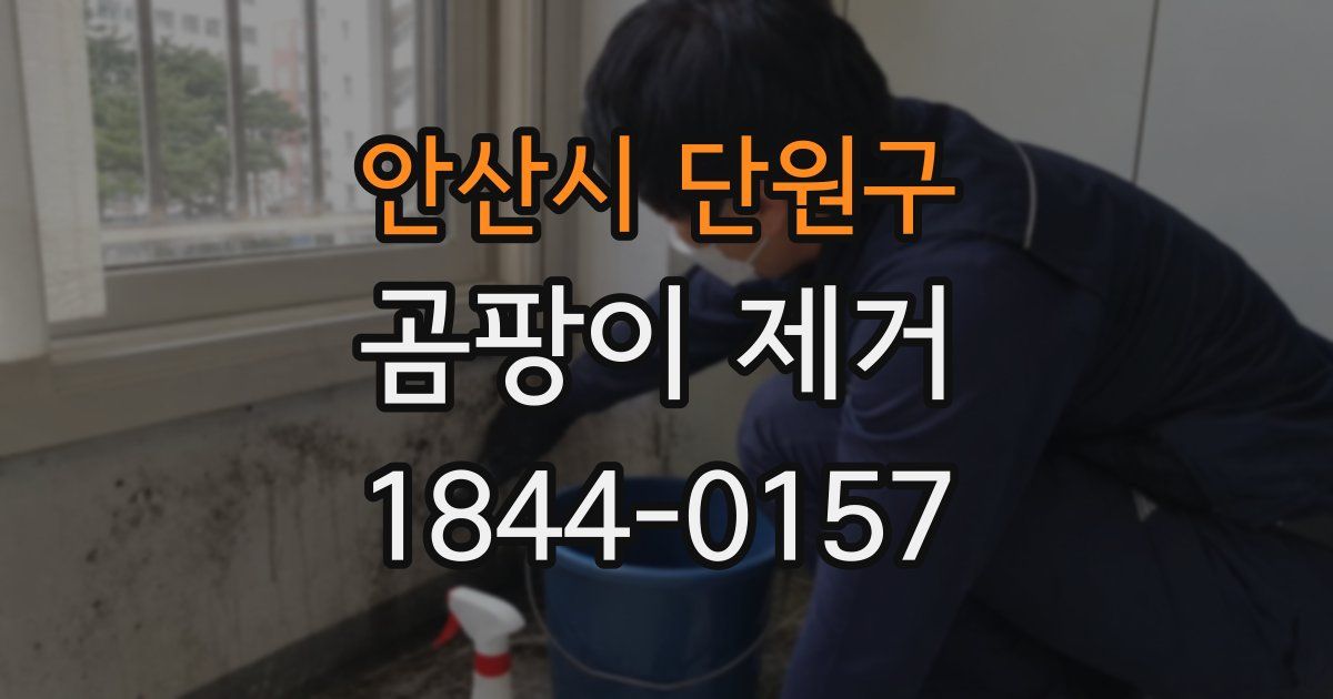 안산시 단원구 곰팡이 제거