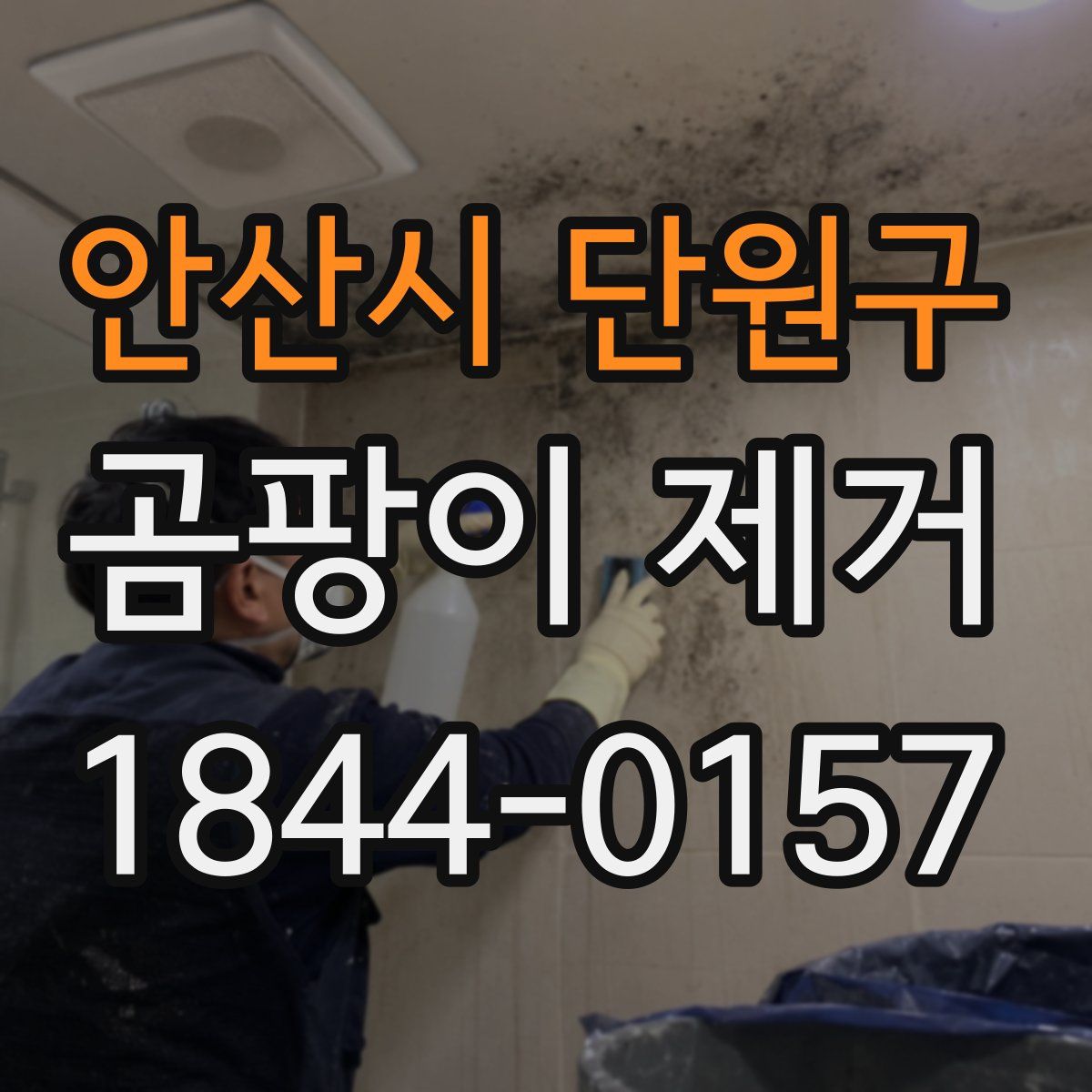 안산시 단원구 곰팡이 제거
