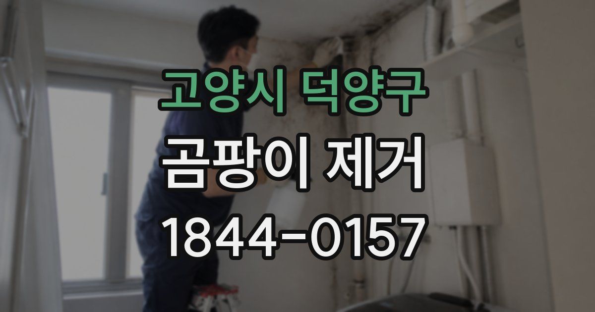 고양시 덕양구 곰팡이 제거