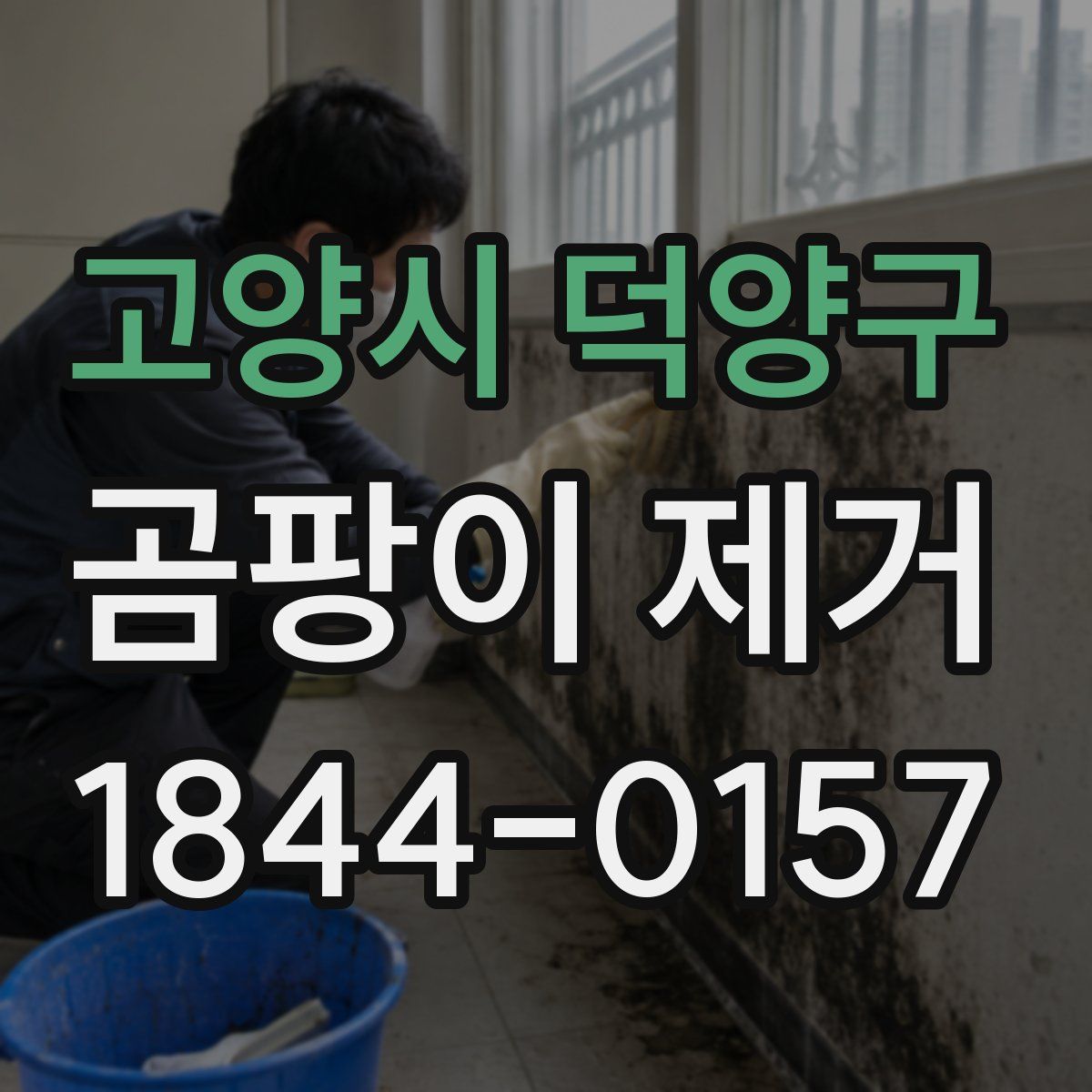 고양시 덕양구 곰팡이 제거