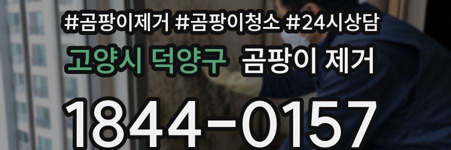 고양시 덕양구 곰팡이 제거
