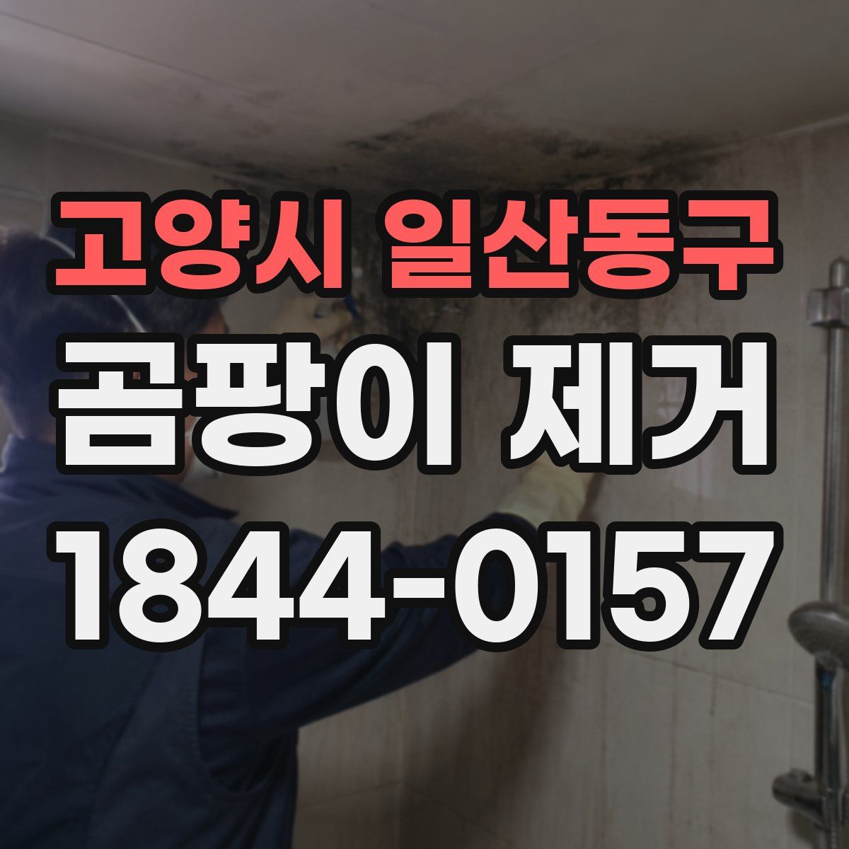 고양시 일산동구 곰팡이 제거