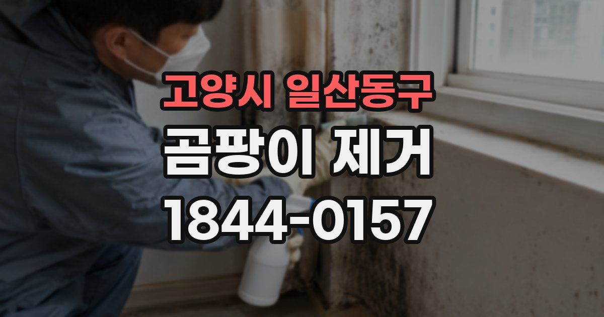 고양시 일산동구 곰팡이 제거