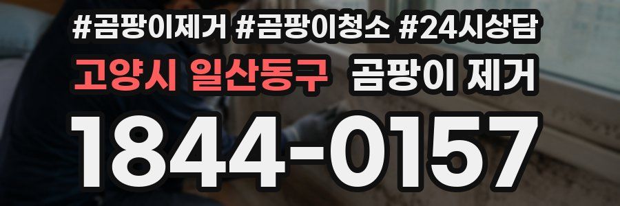 고양시 일산동구 곰팡이 제거