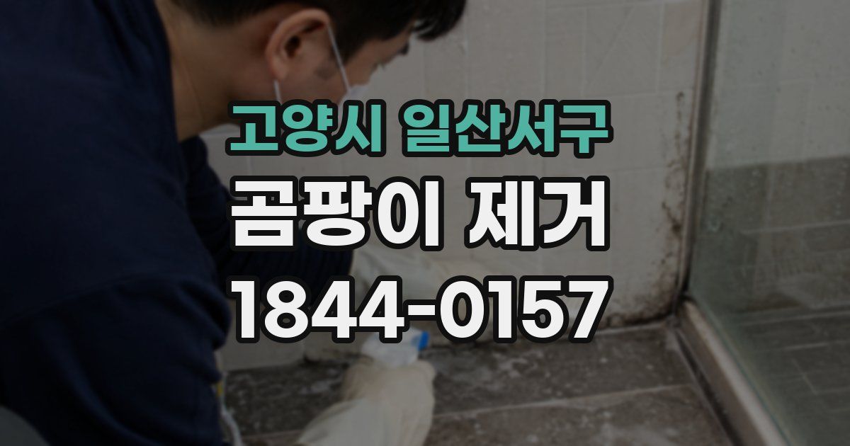 고양시 일산서구 곰팡이 제거