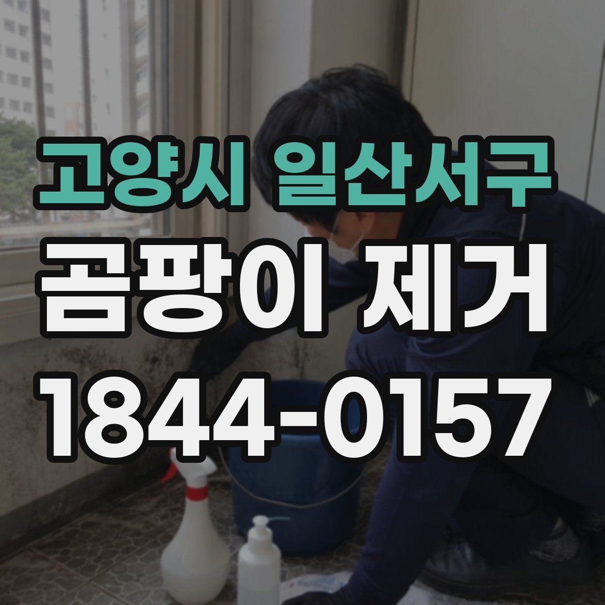 고양시 일산서구 곰팡이 제거