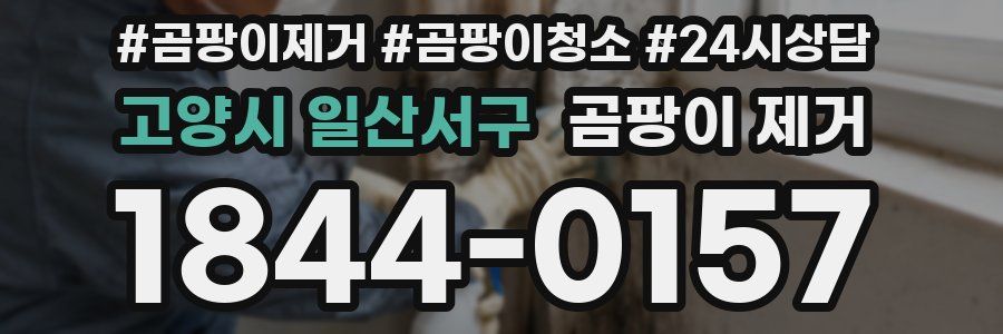 고양시 일산서구 곰팡이 제거