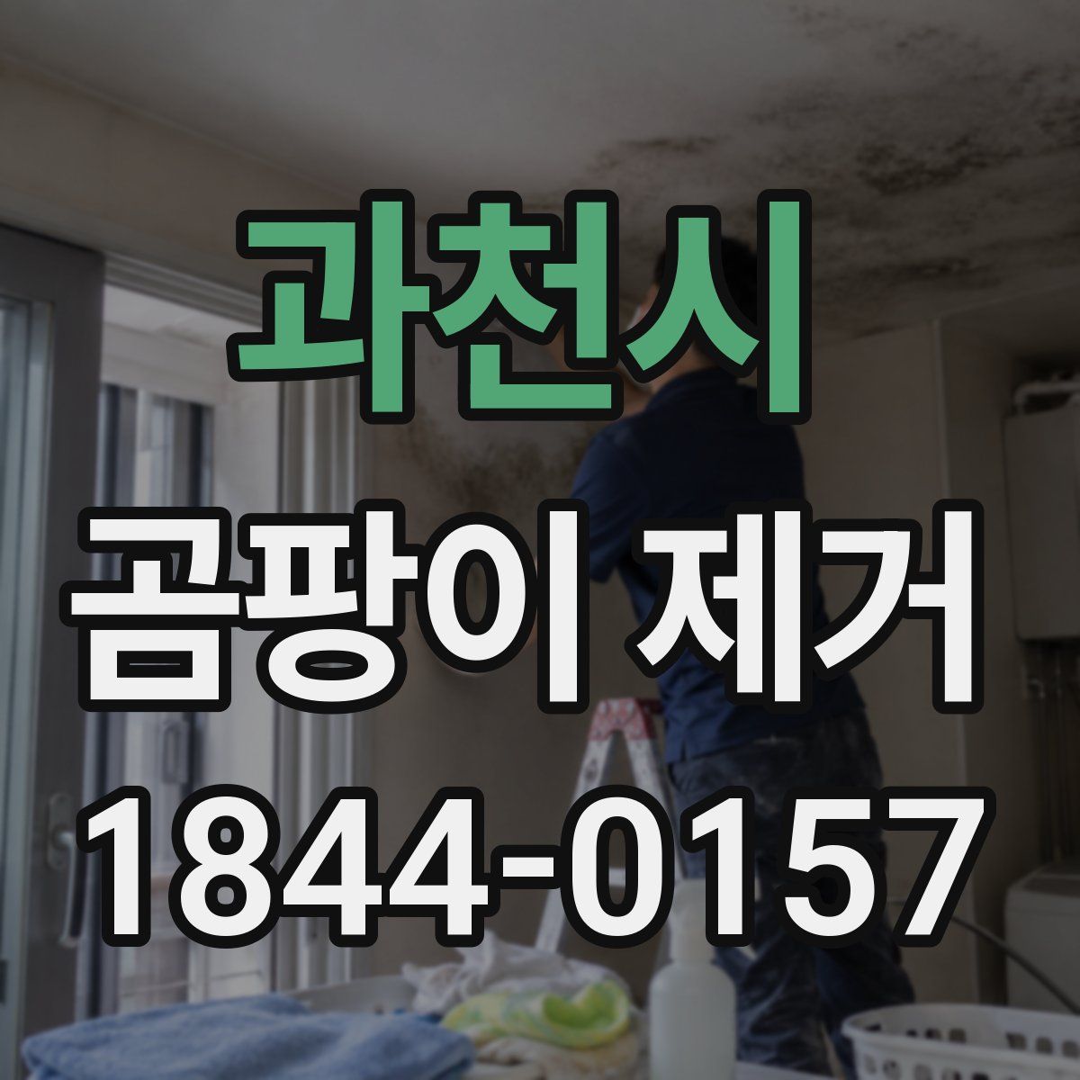 과천시 곰팡이 제거