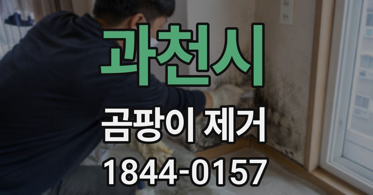 과천시 곰팡이 제거