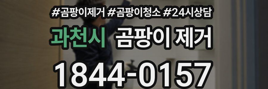 과천시 곰팡이 제거