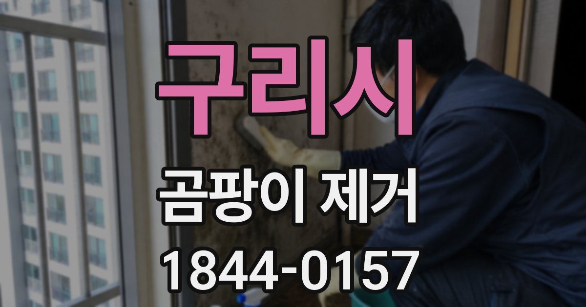 구리시 곰팡이 제거
