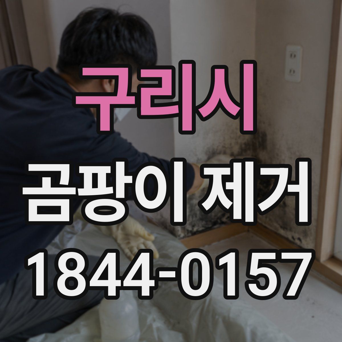 구리시 곰팡이 제거