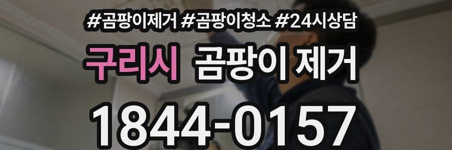 구리시 곰팡이 제거