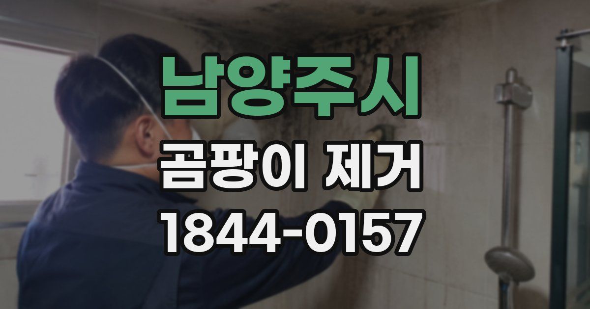 남양주시 곰팡이 제거