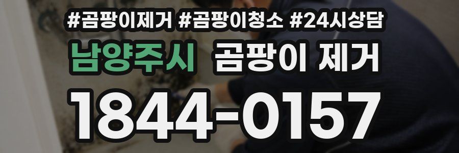 남양주시 곰팡이 제거