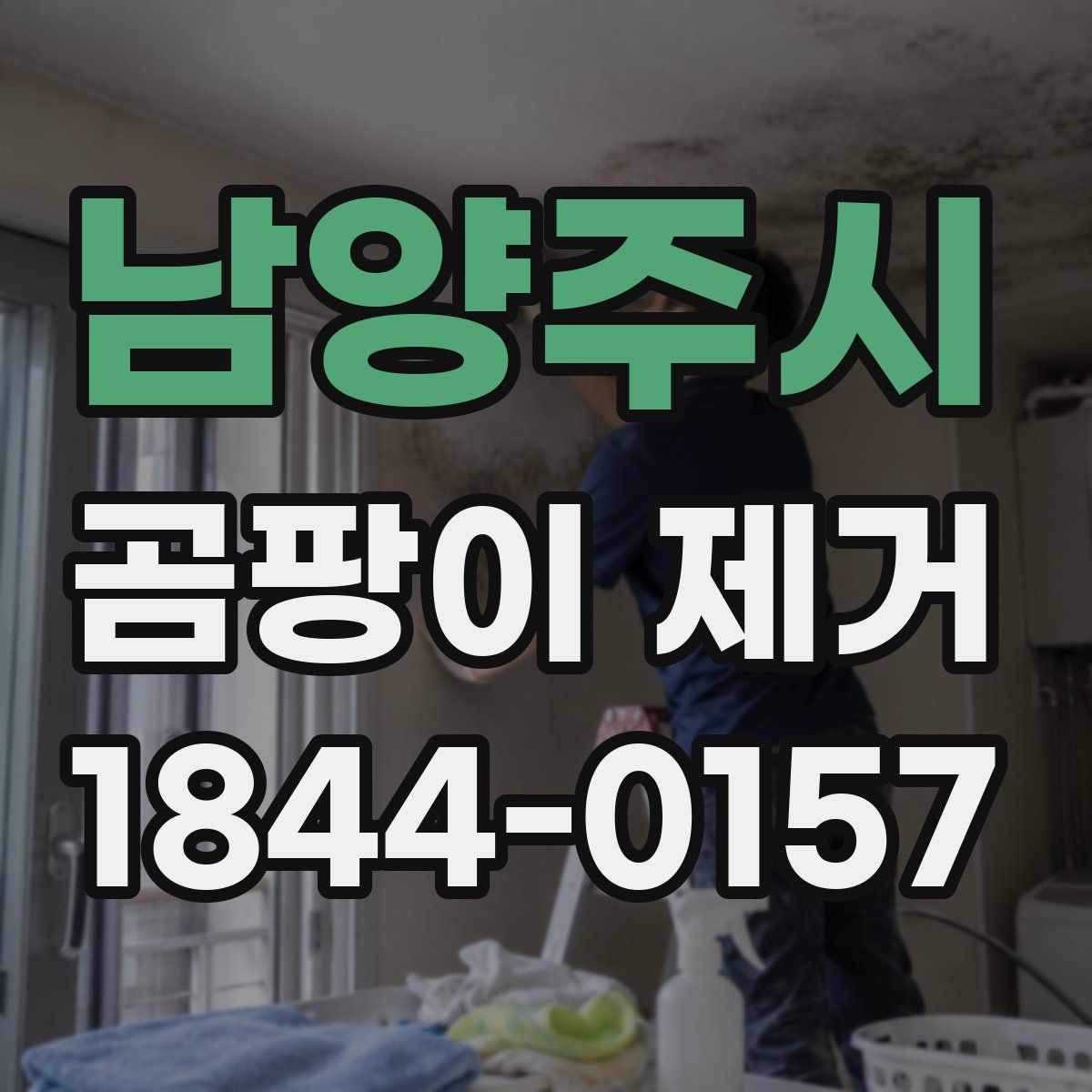 남양주시 곰팡이 제거