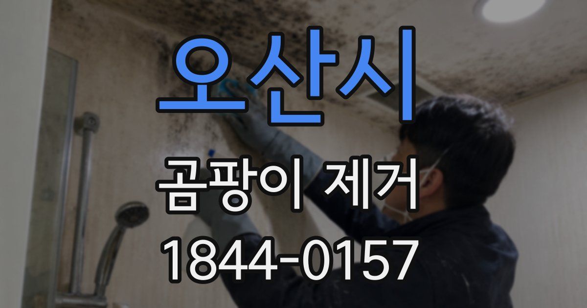 오산시 곰팡이 제거
