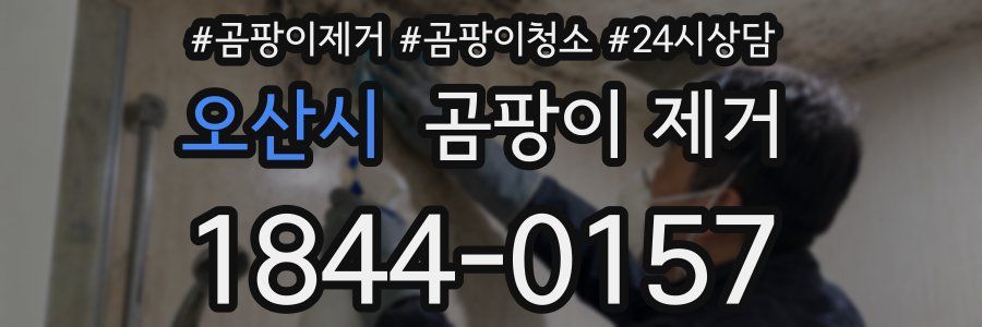 오산시 곰팡이 제거