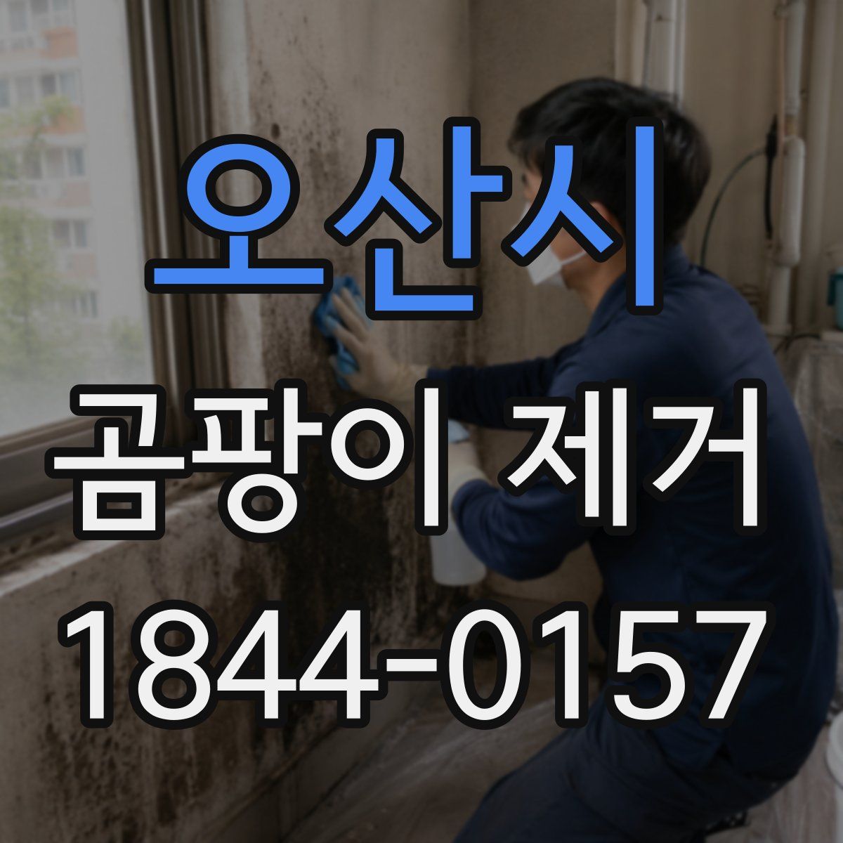 오산시 곰팡이 제거