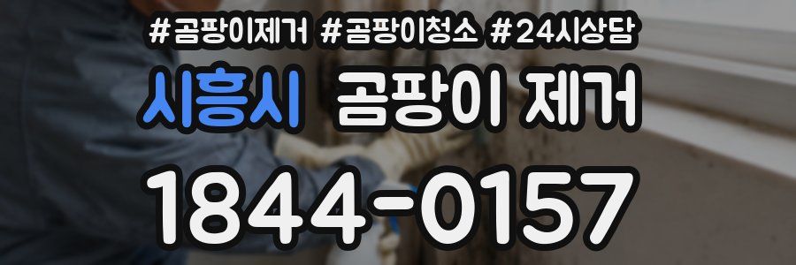시흥시 곰팡이 제거