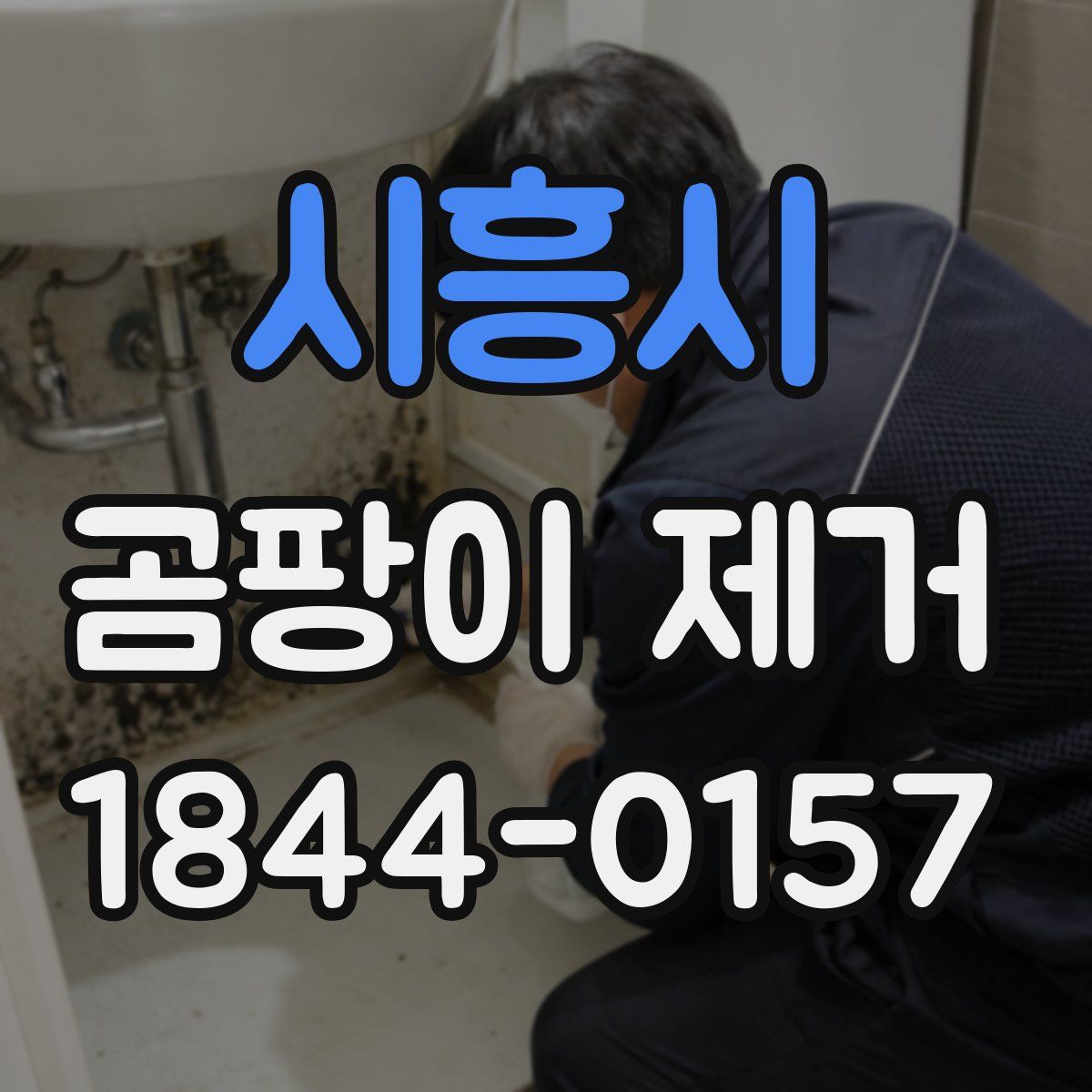 시흥시 곰팡이 제거