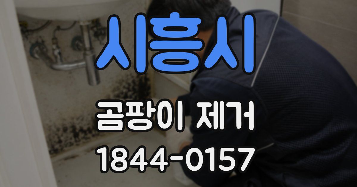 시흥시 곰팡이 제거