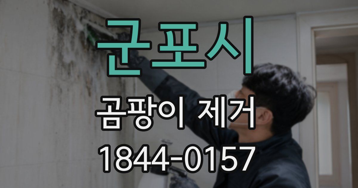 군포시 곰팡이 제거