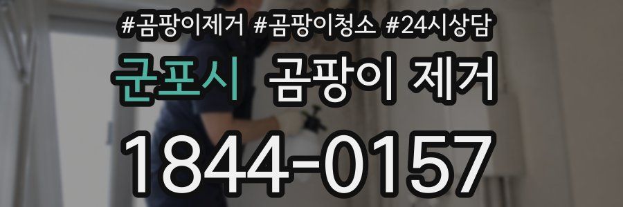 군포시 곰팡이 제거