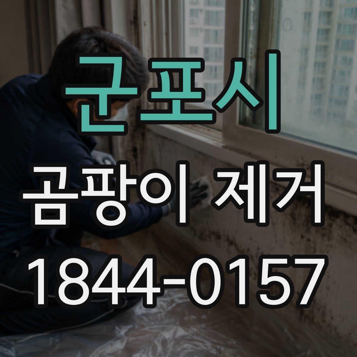 군포시 곰팡이 제거