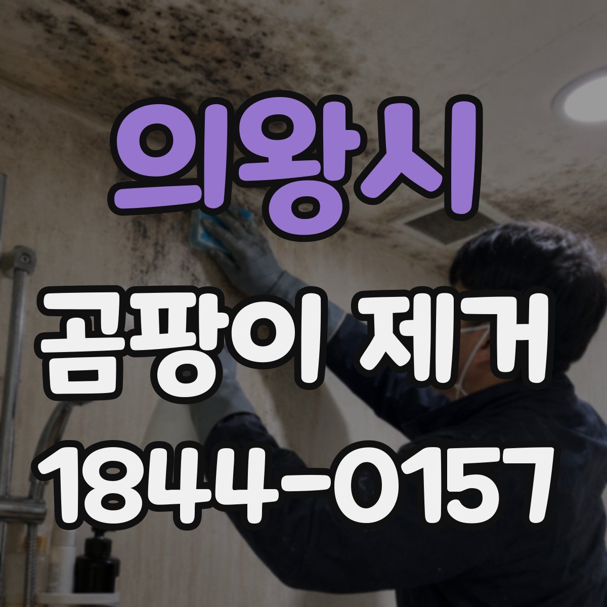 의왕시 곰팡이 제거