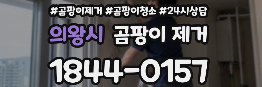 의왕시 곰팡이 제거