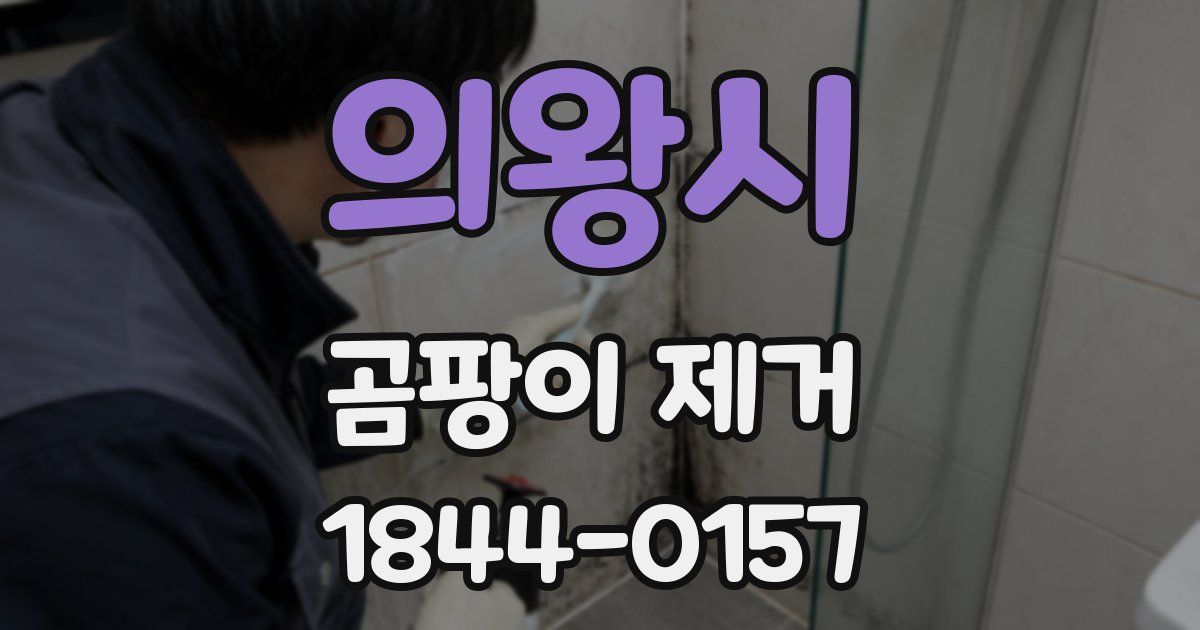 의왕시 곰팡이 제거