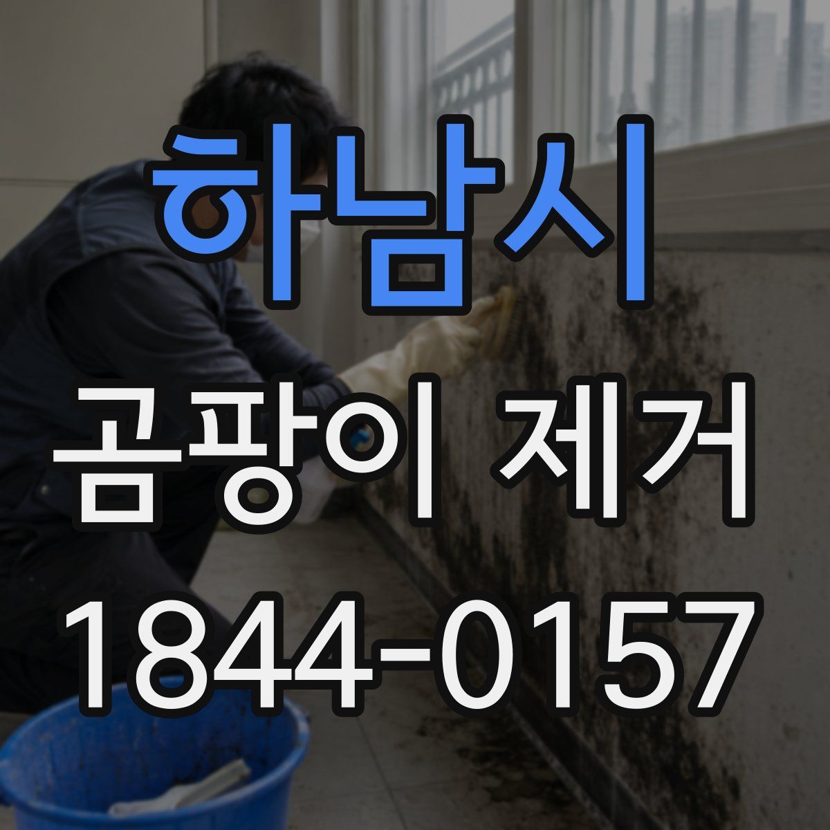 하남시 곰팡이 제거