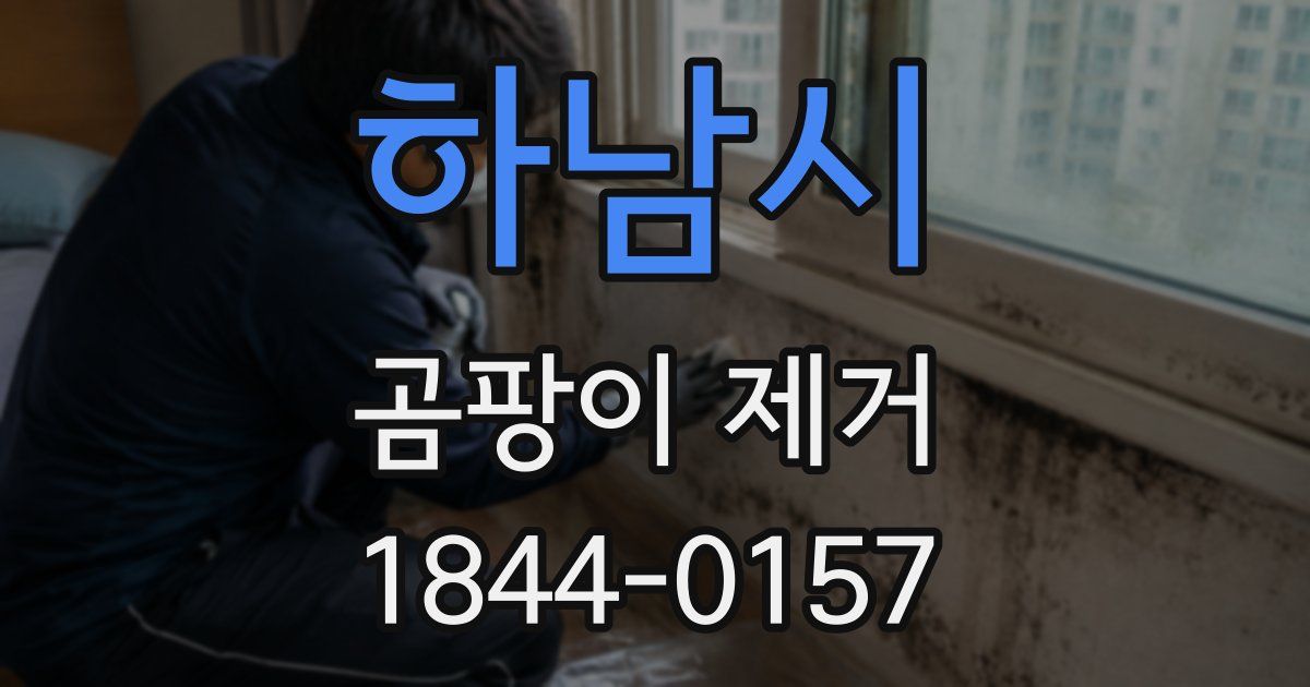 하남시 곰팡이 제거