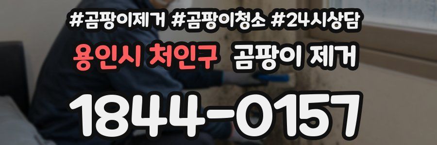 용인시 처인구 곰팡이 제거
