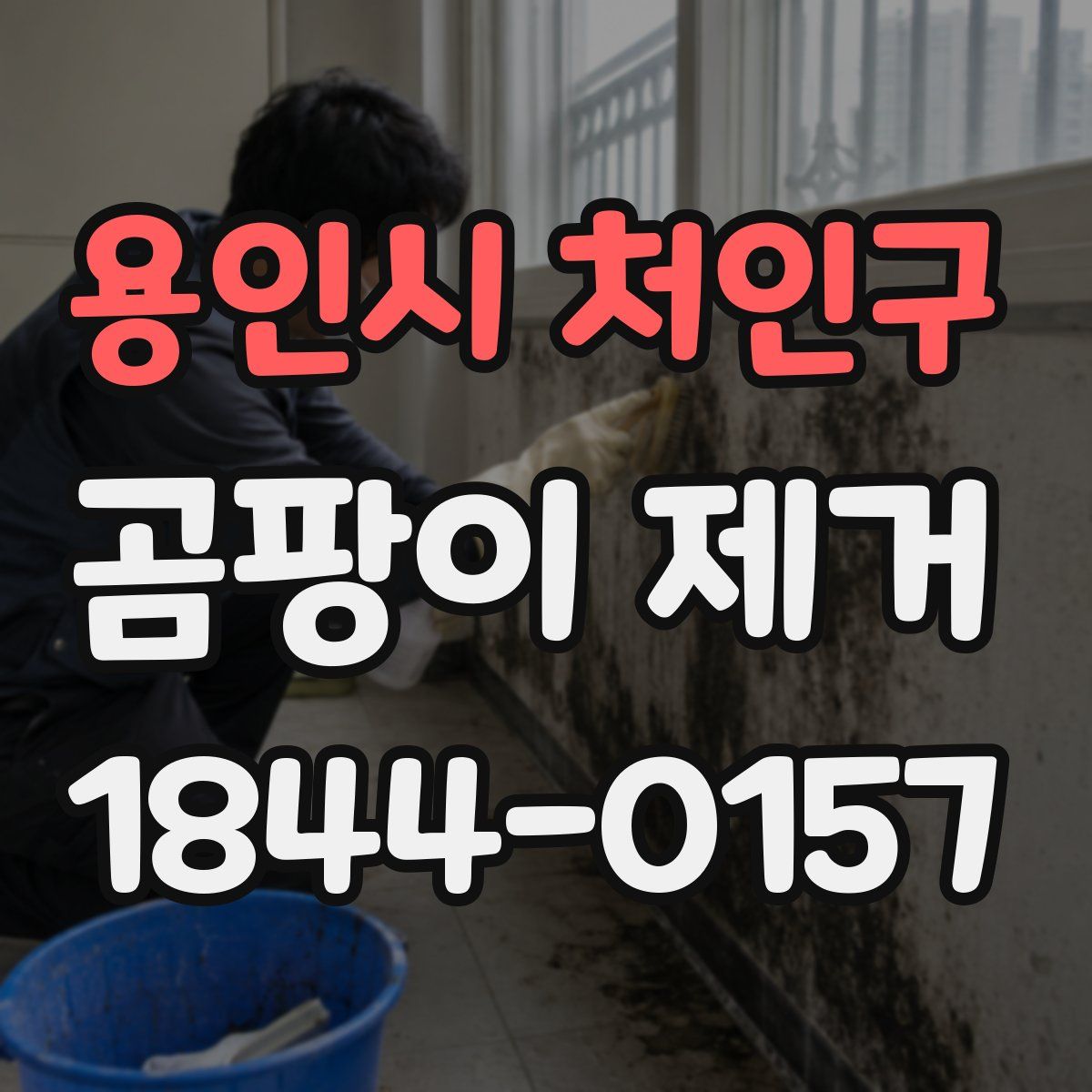용인시 처인구 곰팡이 제거