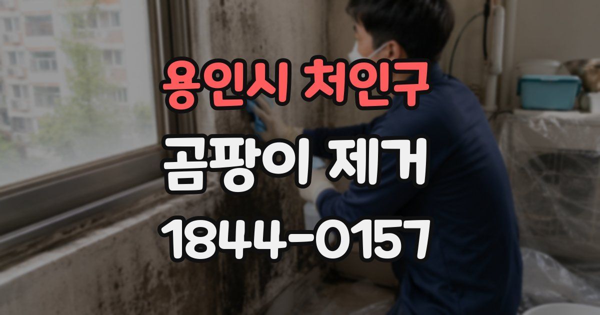 용인시 처인구 곰팡이 제거