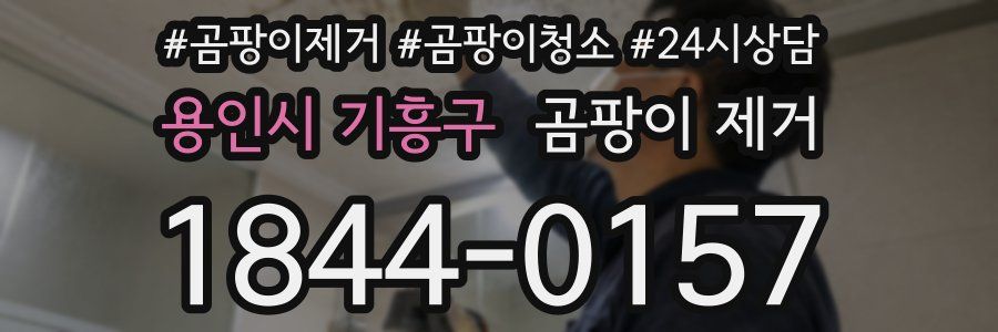 용인시 기흥구 곰팡이 제거