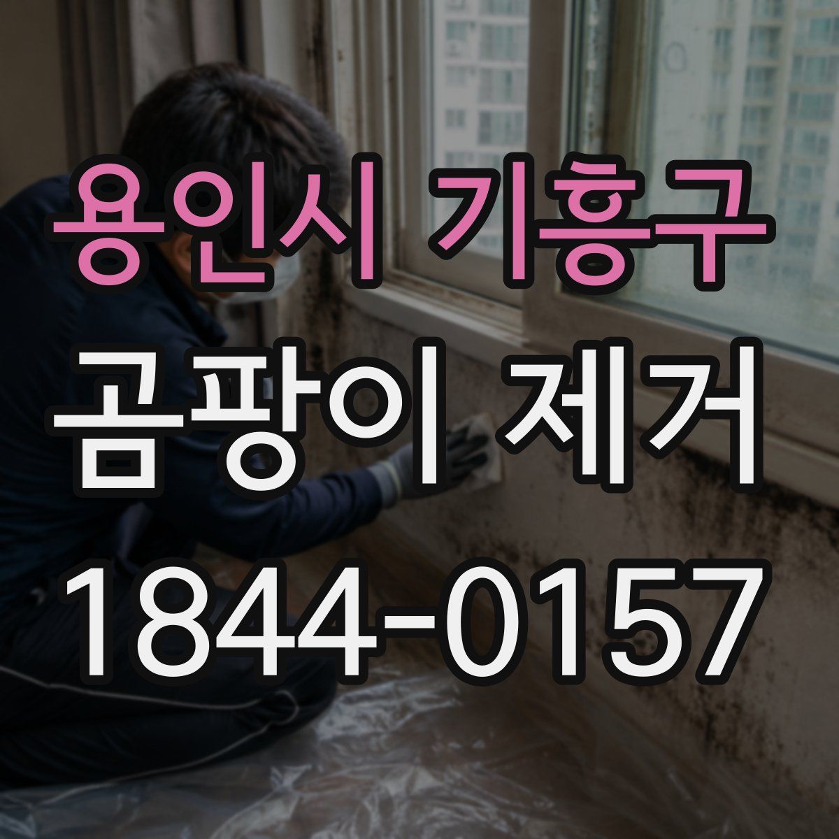 용인시 기흥구 곰팡이 제거