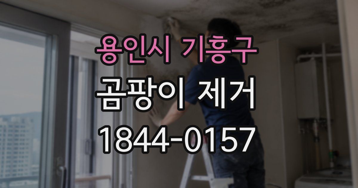 용인시 기흥구 곰팡이 제거