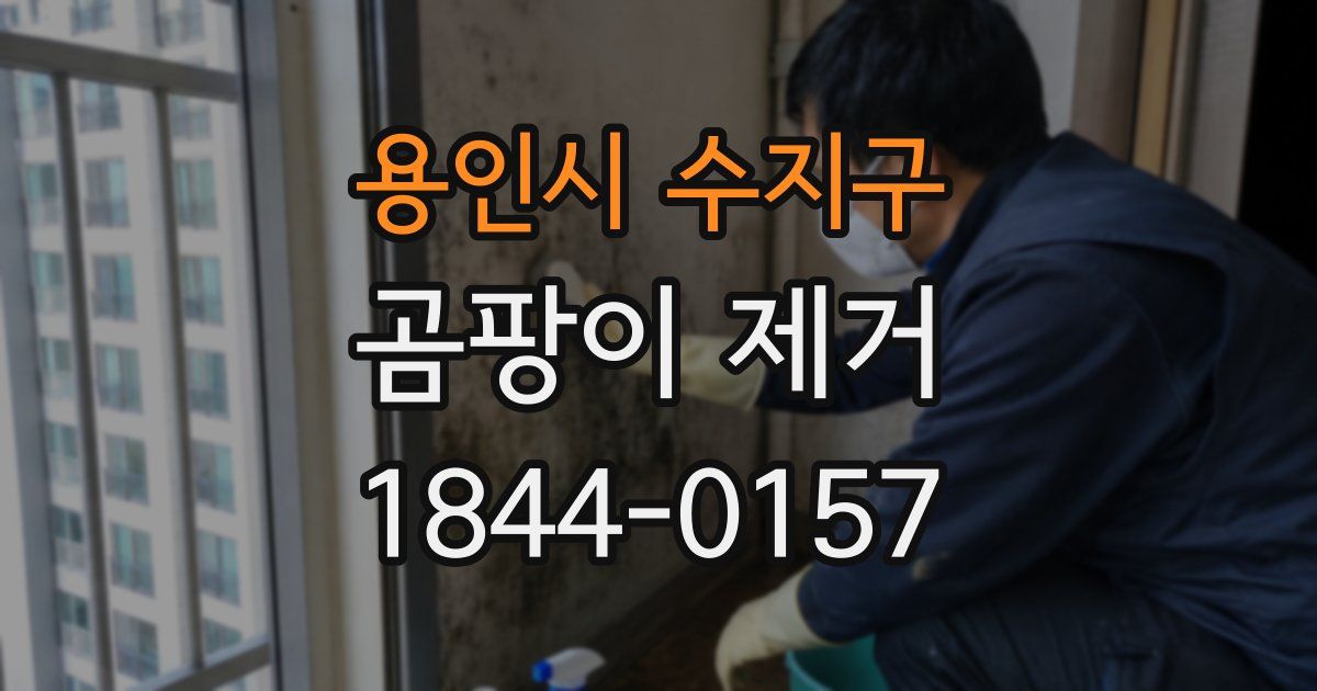용인시 수지구 곰팡이 제거