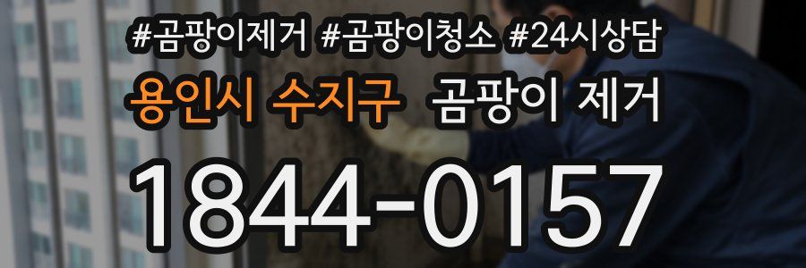 용인시 수지구 곰팡이 제거