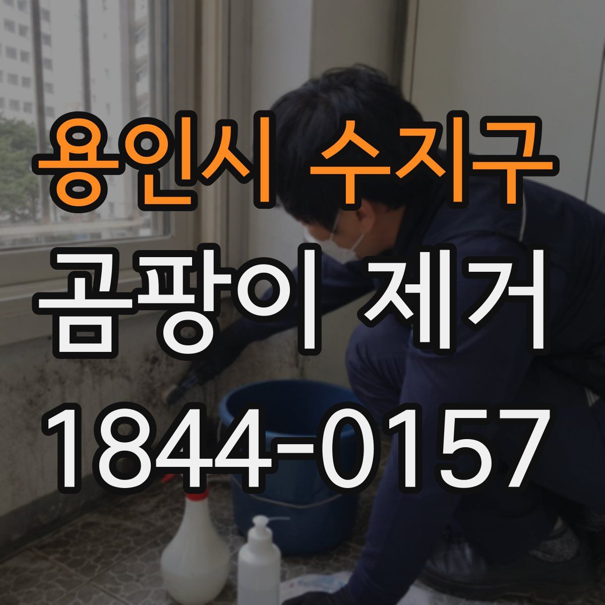 용인시 수지구 곰팡이 제거