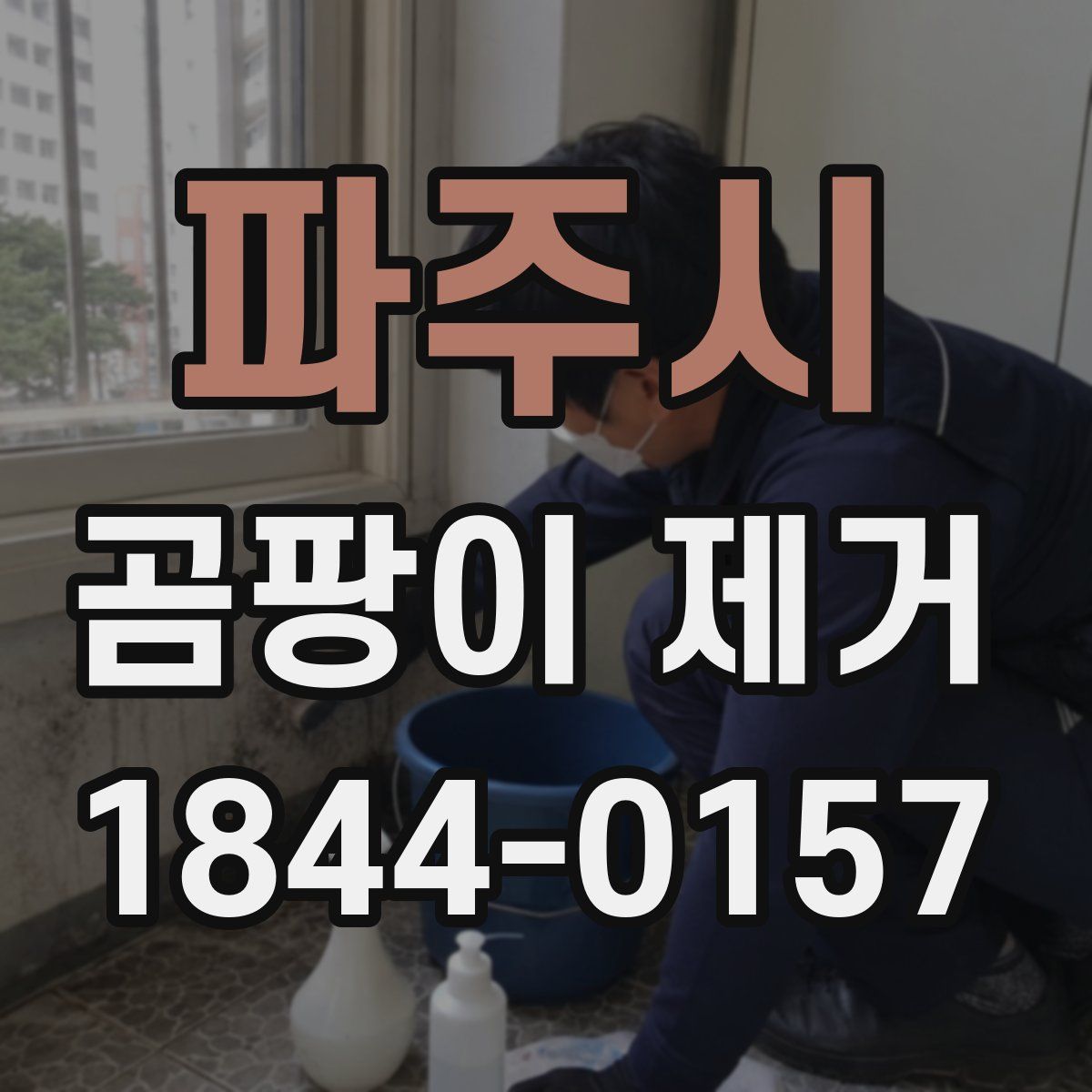 파주시 곰팡이 제거
